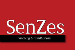 Life coaching-SenZes