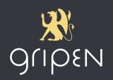 Business coaching-Gripen - Guy Hendrickx