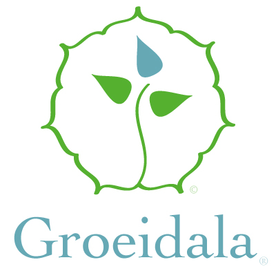 Spirituele coaching - Groeidala