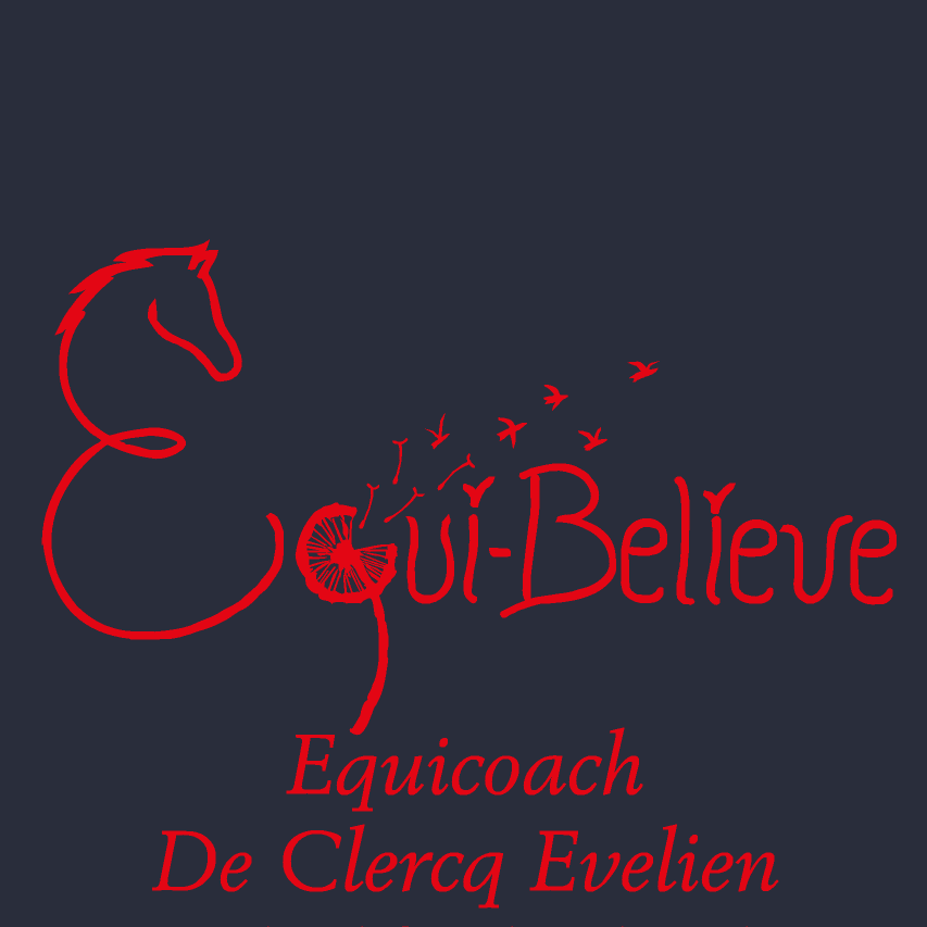 Equicoaching - Equi-Believe coaching