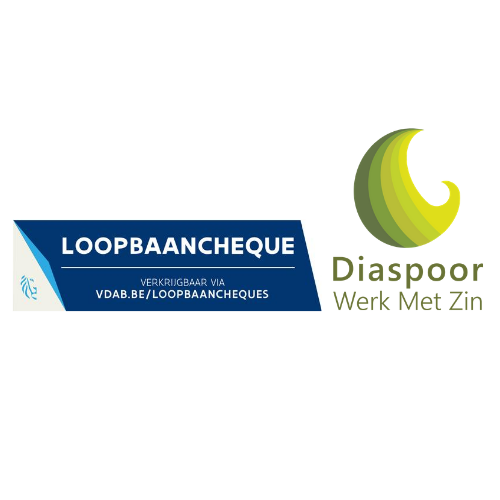 Loopbaanbegeleiding-Sandra Vandenberg - Diaspoor Werk Met Zi