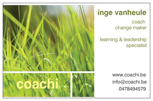 Loopbaanbegeleiding - coachi