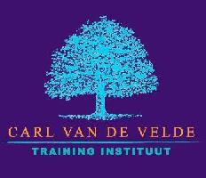 Life coaching, Verkoopscoaching, Team coaching, Executive coaching, Business coaching - Carl Van de Velde Training Instituut