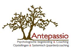 Team coaching, Familieopstellingen, Equicoaching, Coach opleiding - Antepassio