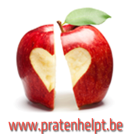 Online coaching - Praten Helpt