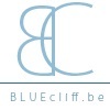 Verkoopscoaching - BlueCliff