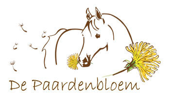 Equicoaching - De Paardenbloem