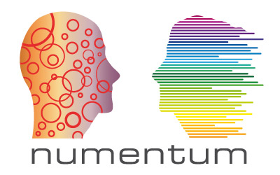 Online coaching-Numentum